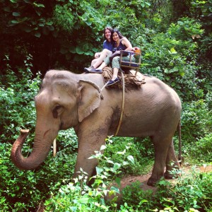 Elephant ride in Thailand jungle