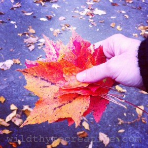 handful of October leaves