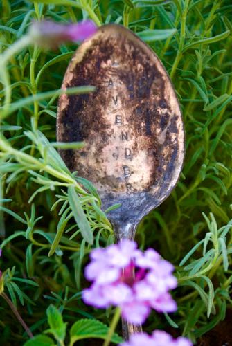 lantana and hammered spoon garden marker